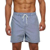 Coastal Stripe Swim Shorts