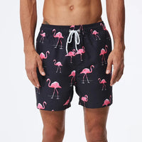 Coastal Flamingo Swim Shorts